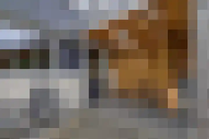 Moezel 75 Drachten thumbnail 42
