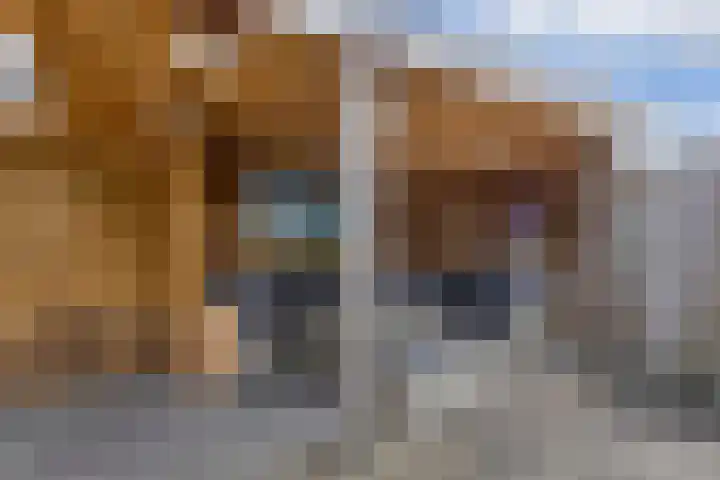 Moezel 75 Drachten thumbnail 43