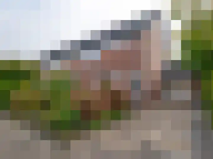 Moezel 84 Drachten