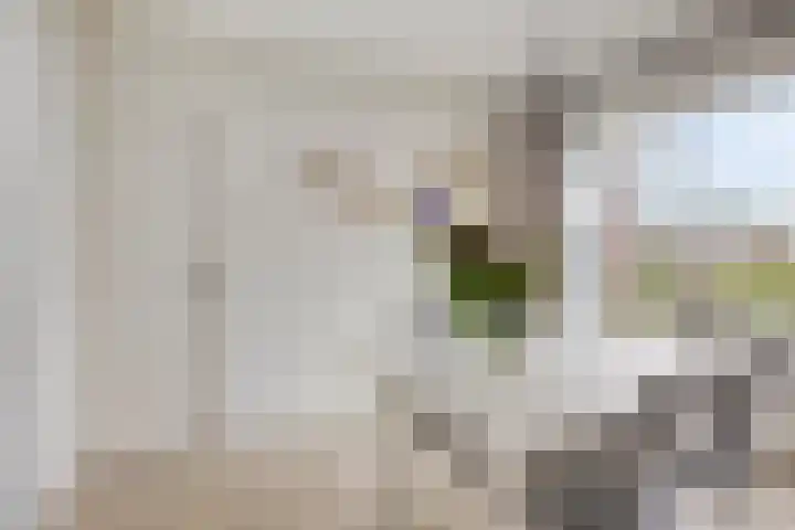 Moezeldreef 217 Utrecht thumbnail 12