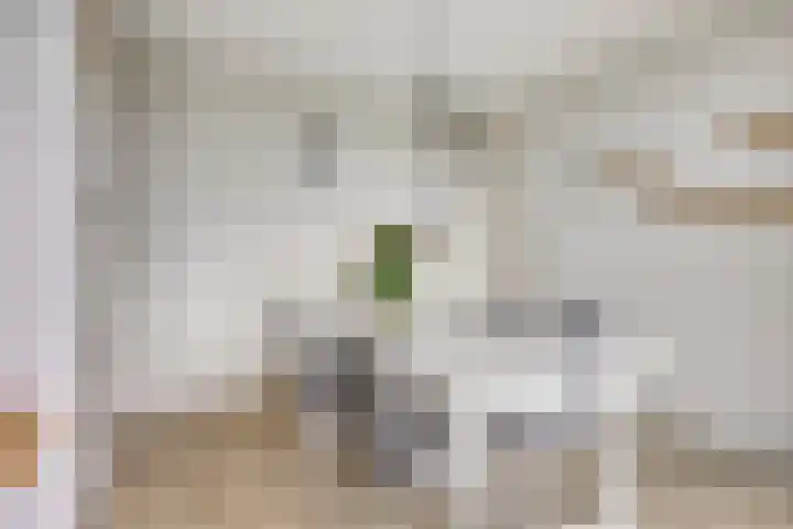 Moezeldreef 217 Utrecht thumbnail 13