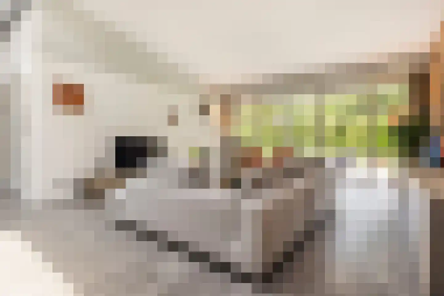 Moftbos 4 Bennekom thumbnail 15