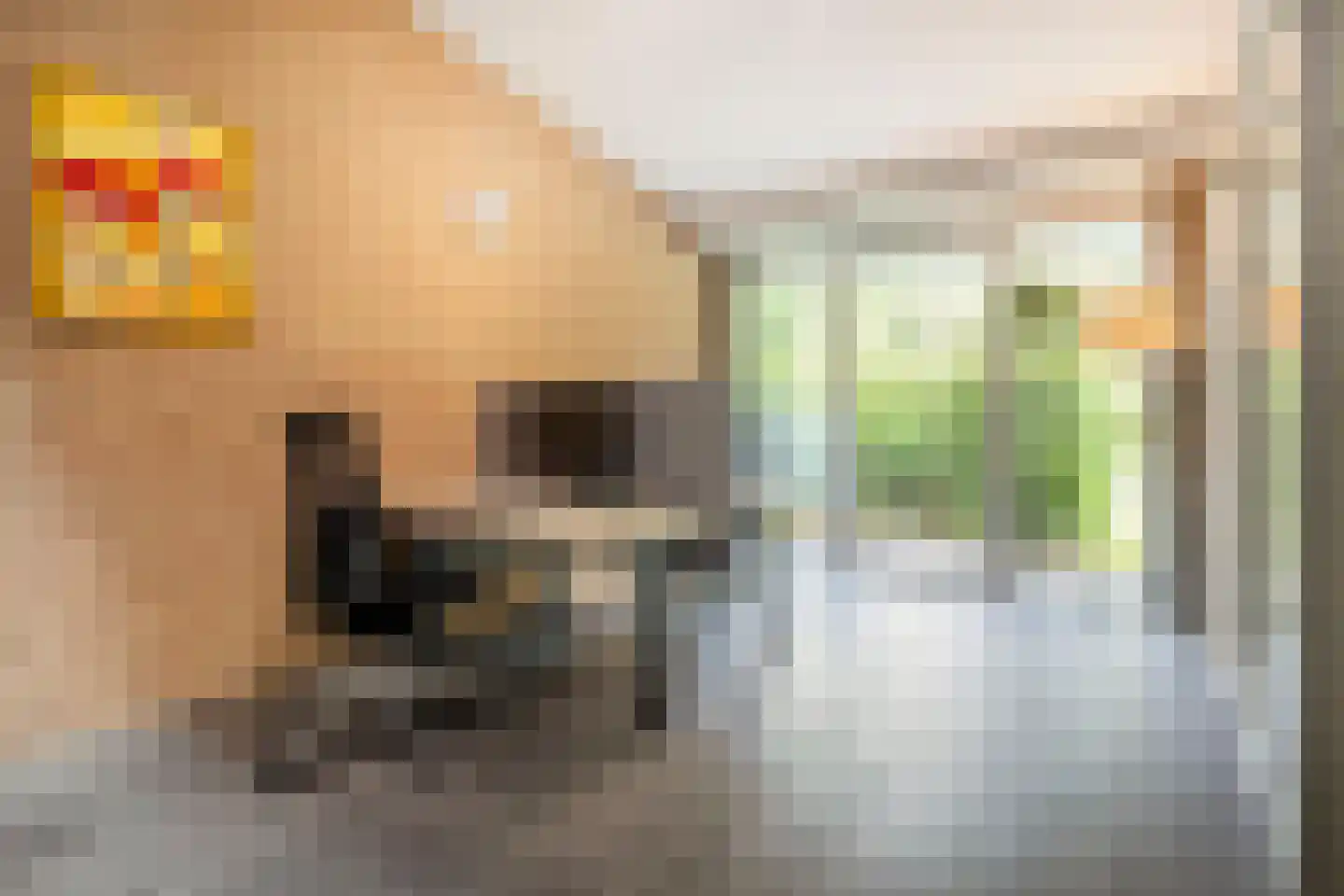 Moftbos 4 Bennekom thumbnail 36