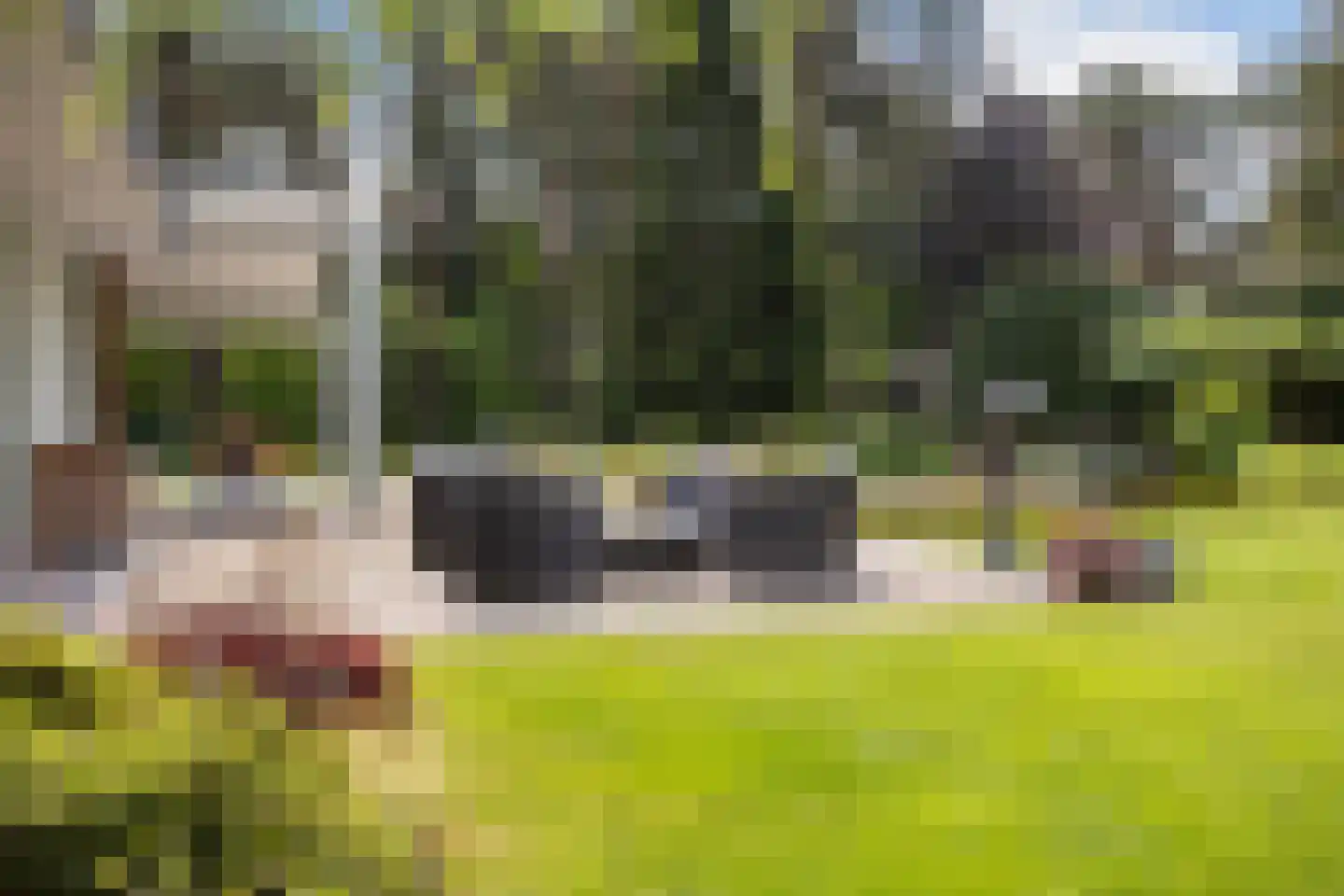 Moftbos 4 Bennekom thumbnail 44