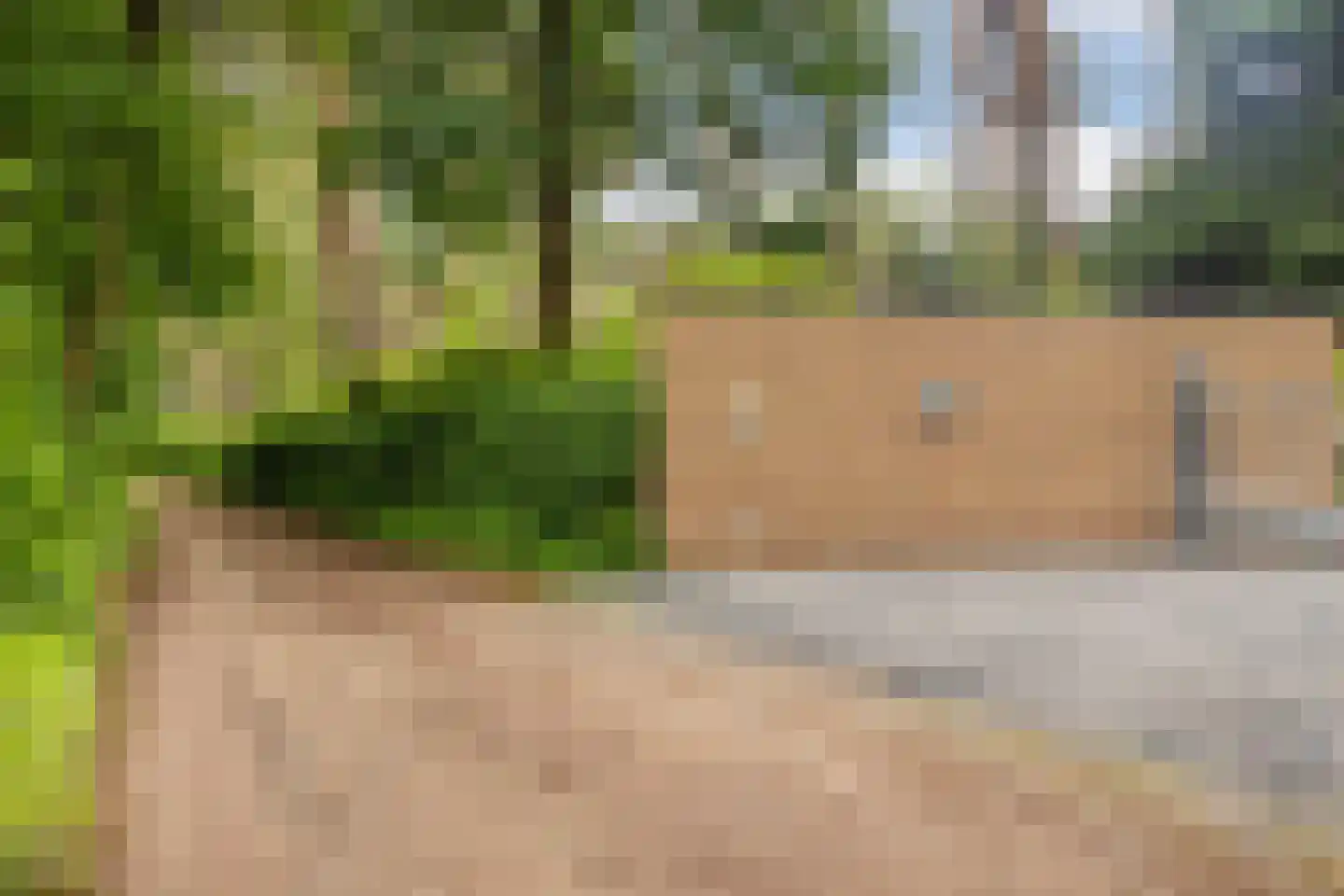 Moftbos 4 Bennekom thumbnail 5