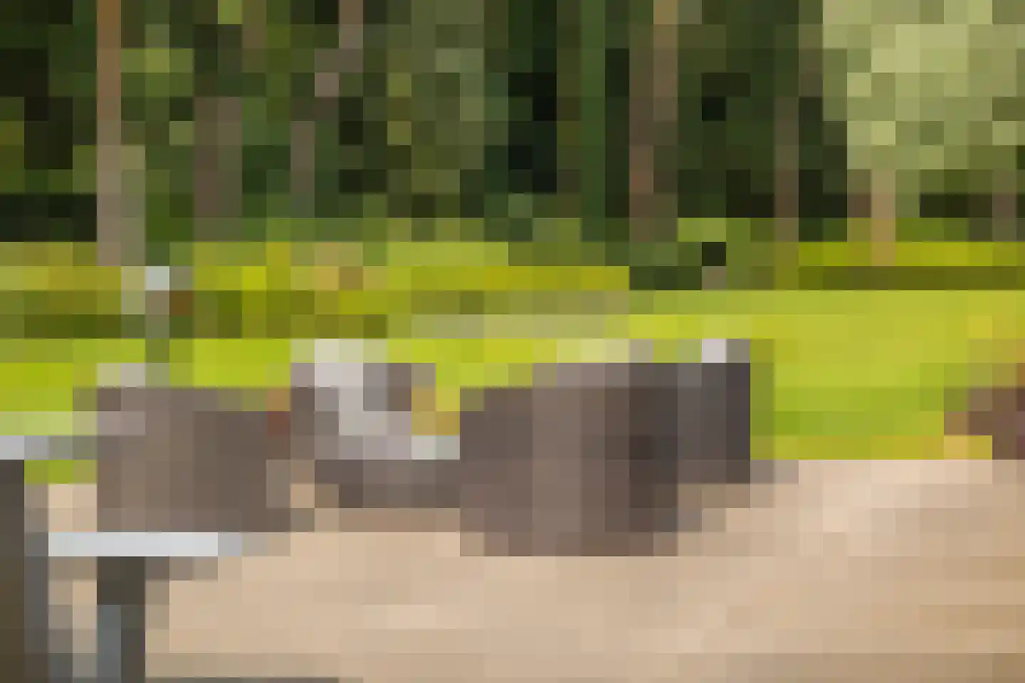 Moftbos 4 Bennekom thumbnail 50