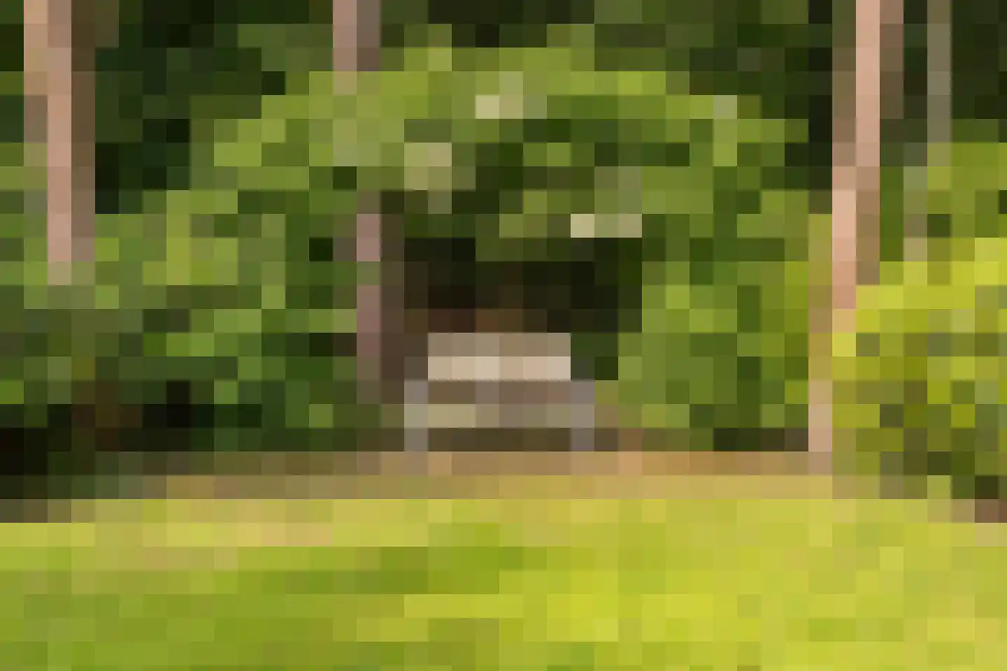 Moftbos 4 Bennekom thumbnail 52
