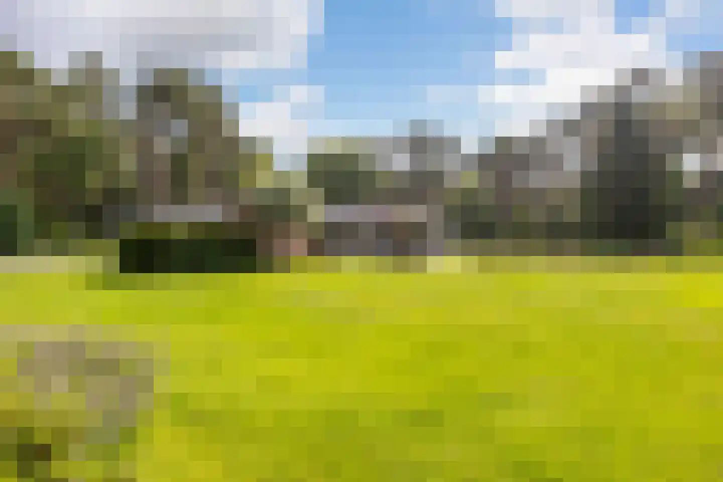 Moftbos 4 Bennekom thumbnail 54