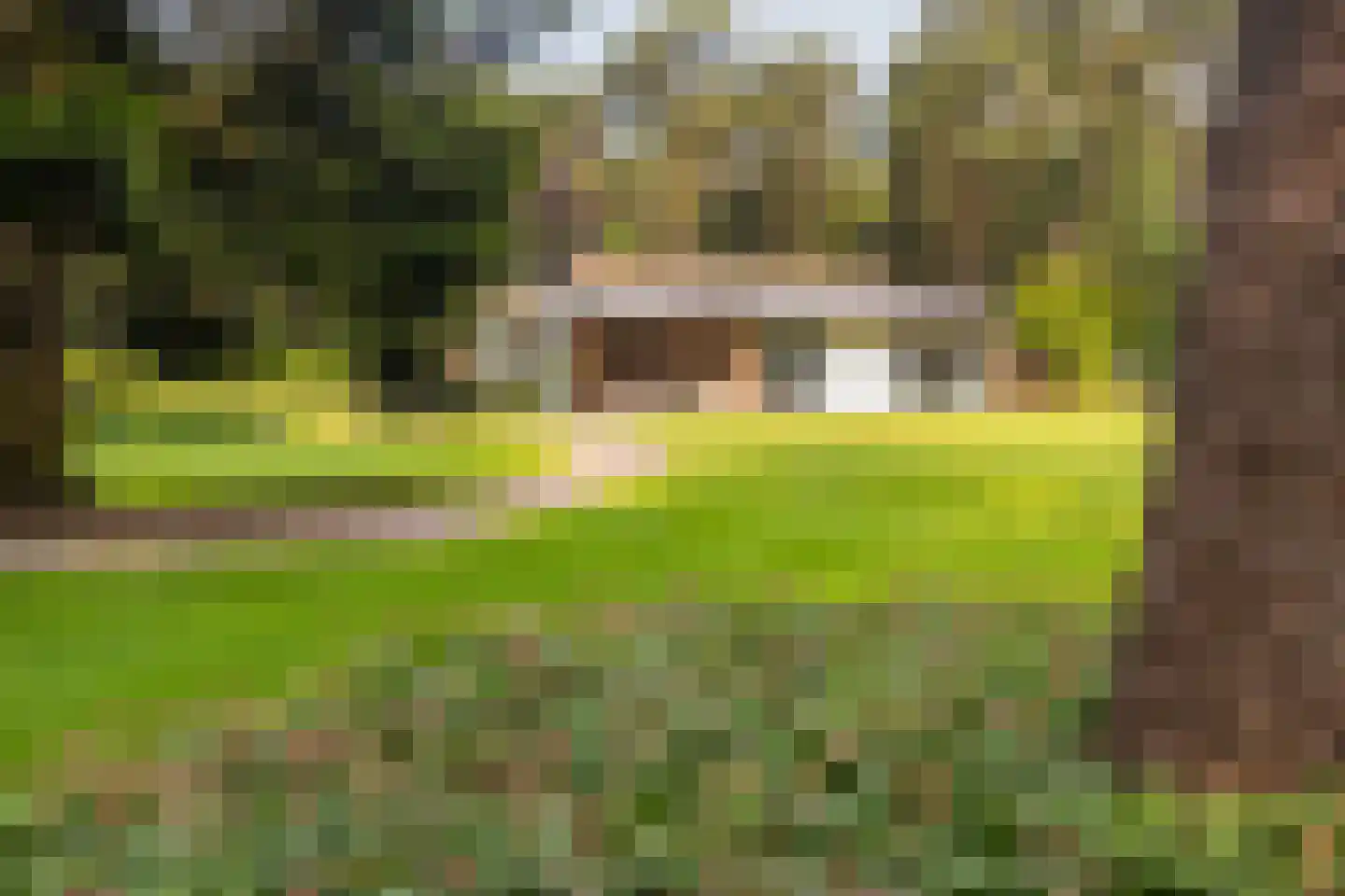 Moftbos 4 Bennekom thumbnail 56