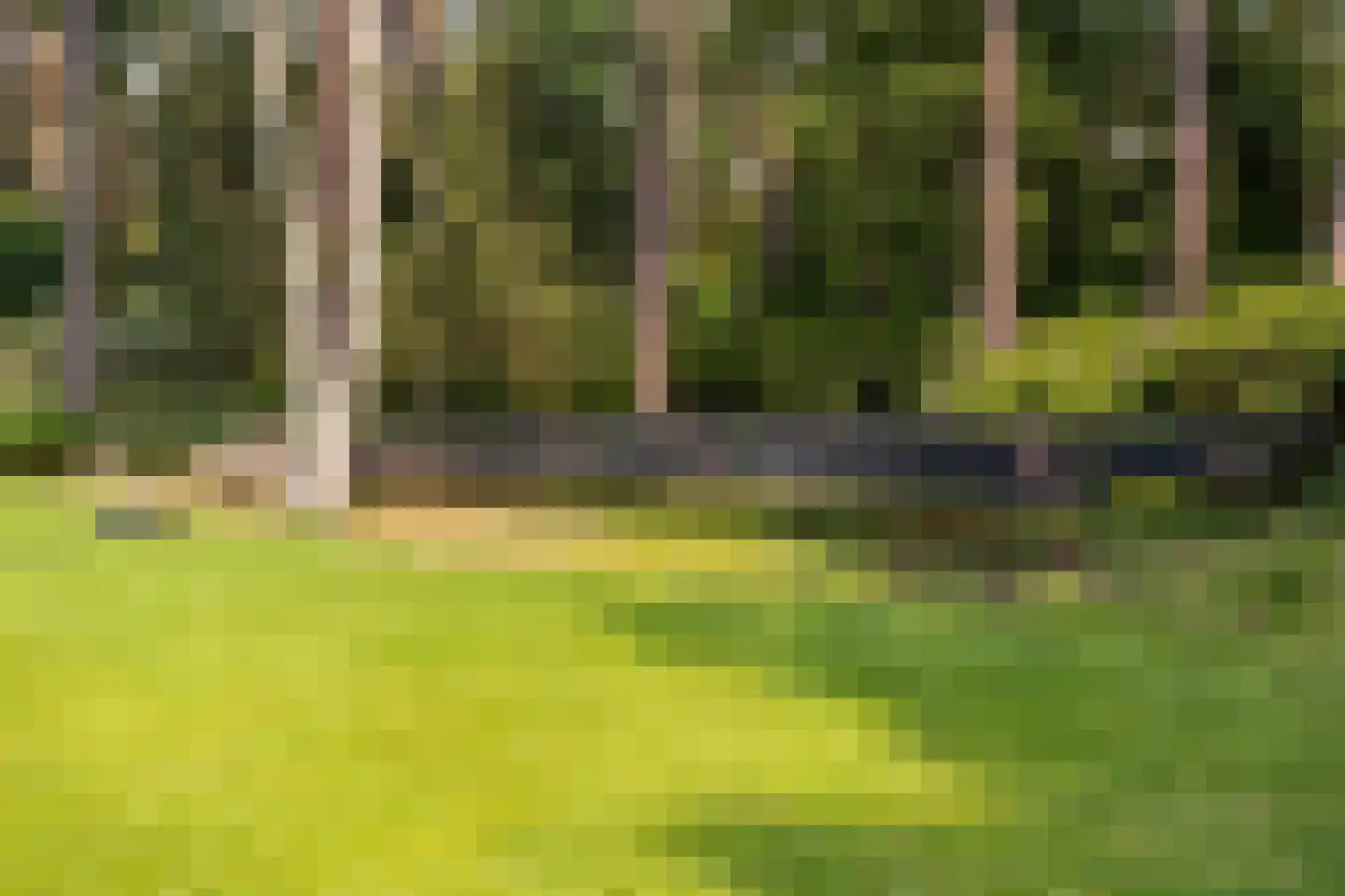 Moftbos 4 Bennekom thumbnail 60