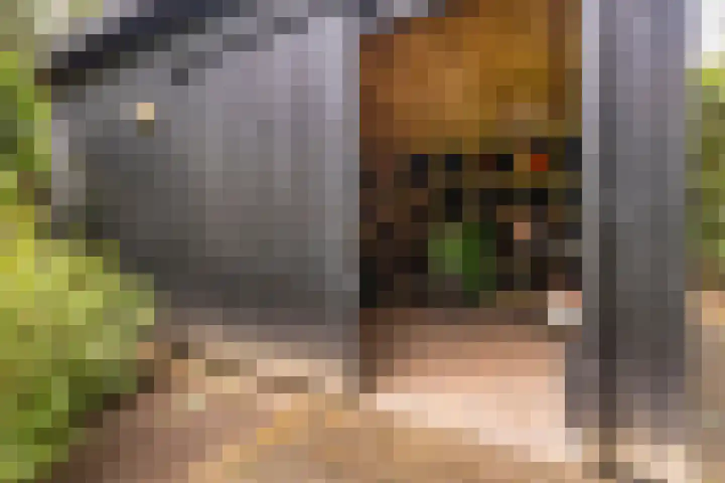 Moftbos 4 Bennekom thumbnail 67