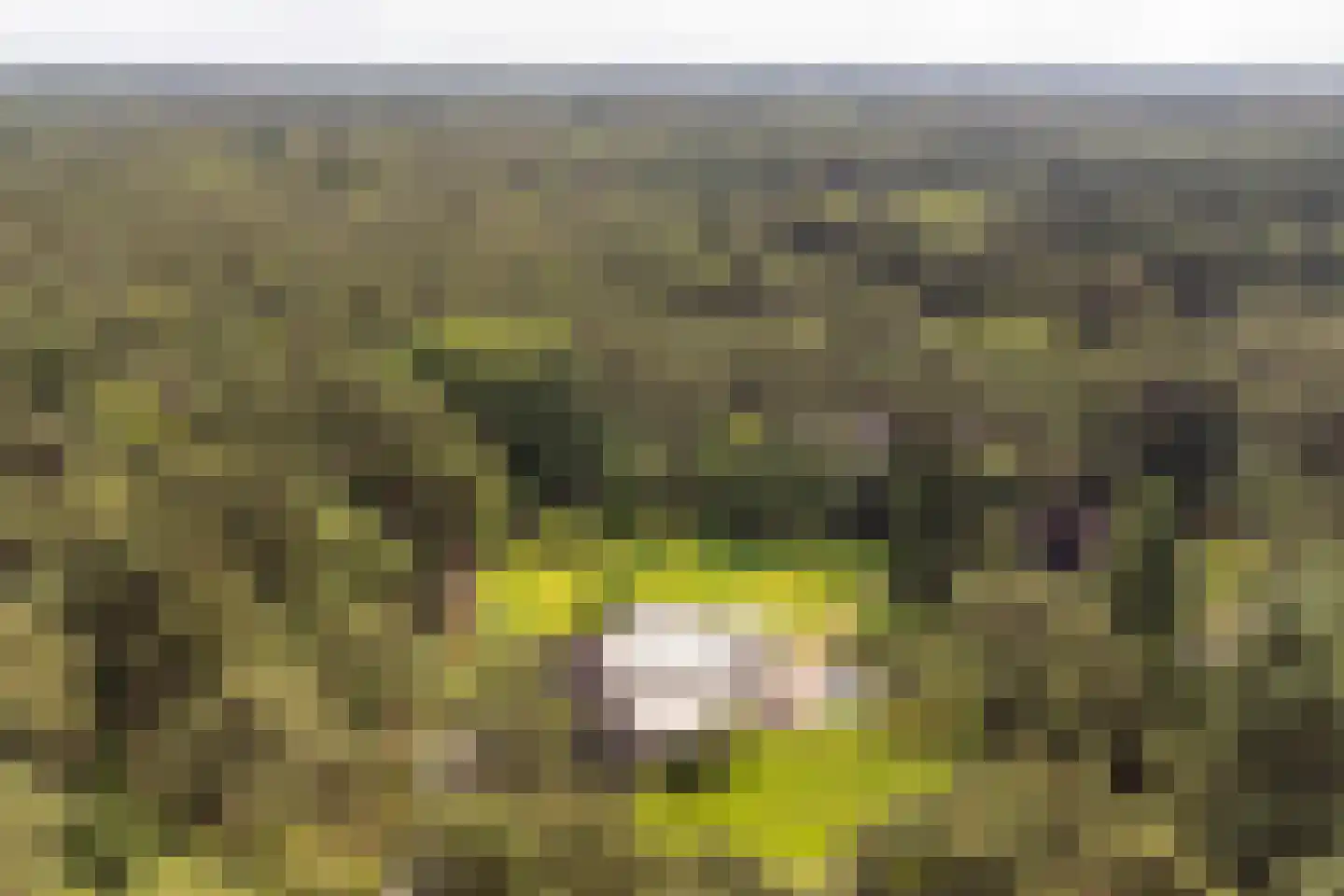 Moftbos 4 Bennekom thumbnail 79