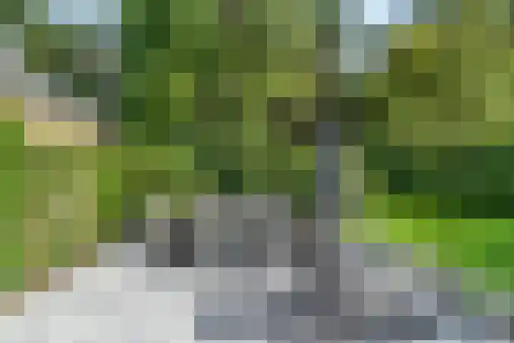 Moftbos 8 Bennekom thumbnail 19