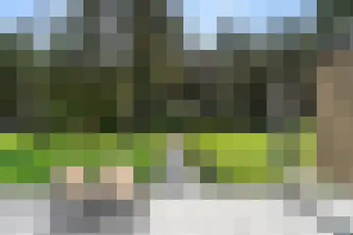 Moftbos 8 Bennekom thumbnail 20