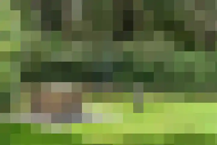 Moftbos 8 Bennekom thumbnail 29