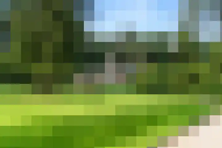 Moftbos 8 Bennekom thumbnail 33