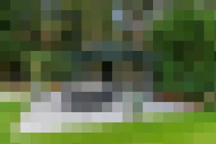 Moftbos 8 Bennekom thumbnail 38
