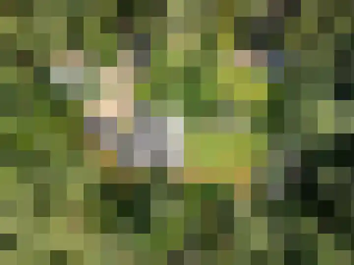 Moftbos 8 Bennekom thumbnail 42
