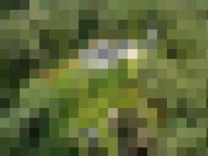 Moftbos 8 Bennekom thumbnail 43