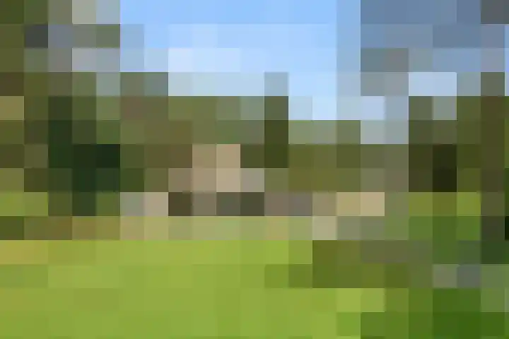Moftbos 8 Bennekom thumbnail 5