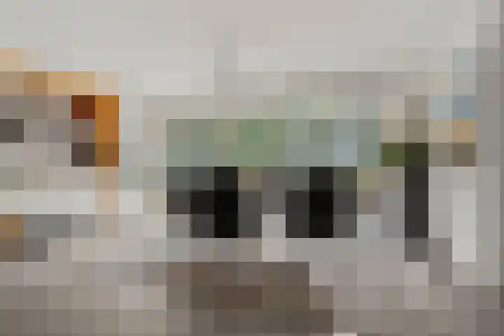 Moftbos 8 Bennekom thumbnail 60