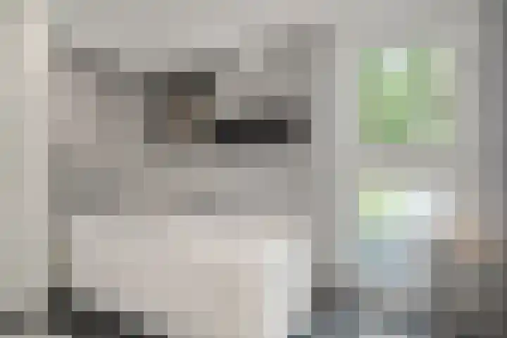 Moftbos 8 Bennekom thumbnail 64
