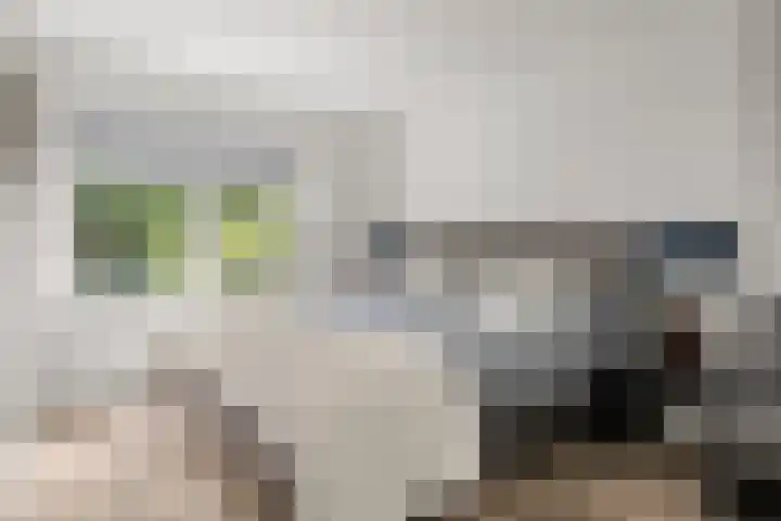 Moftbos 8 Bennekom thumbnail 74