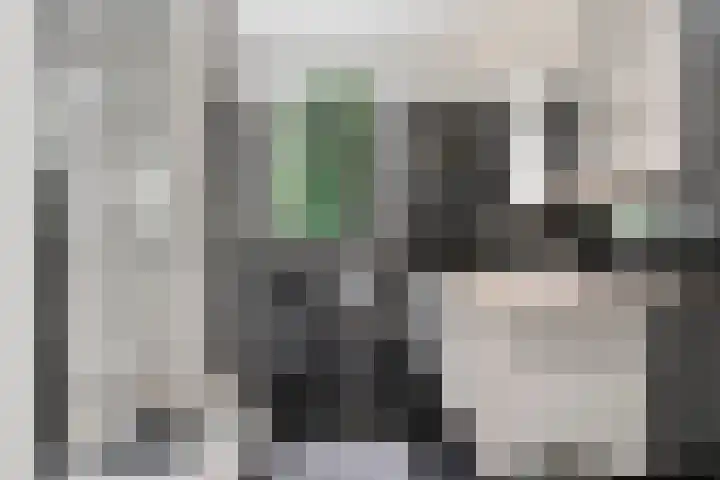 Moftbos 8 Bennekom thumbnail 80