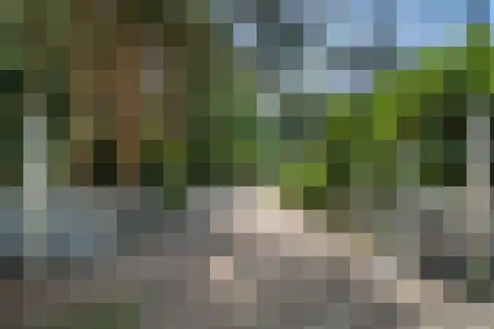 Moftbos 8 Bennekom thumbnail 9