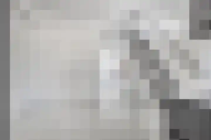 Moggendries 28 Eindhoven thumbnail 18