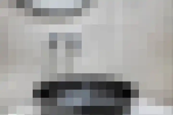 Moggendries 28 Eindhoven thumbnail 30