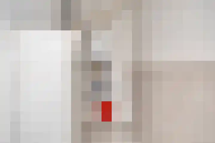 Moggendries 28 Eindhoven thumbnail 31