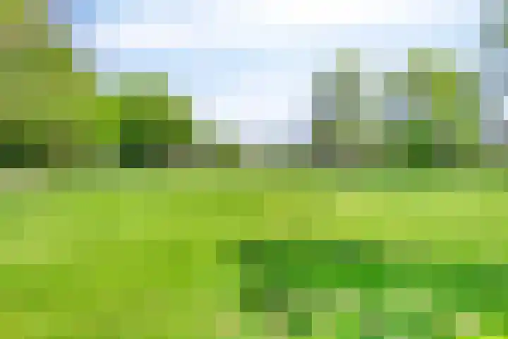 Moggendries 28 Eindhoven thumbnail 37