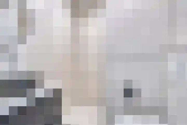 Moggendries 28 Eindhoven thumbnail 5