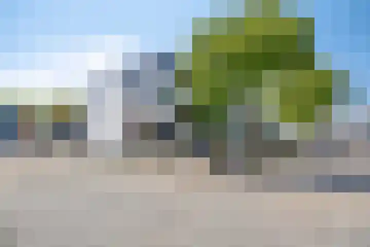 Moggendries 28 Eindhoven thumbnail 7