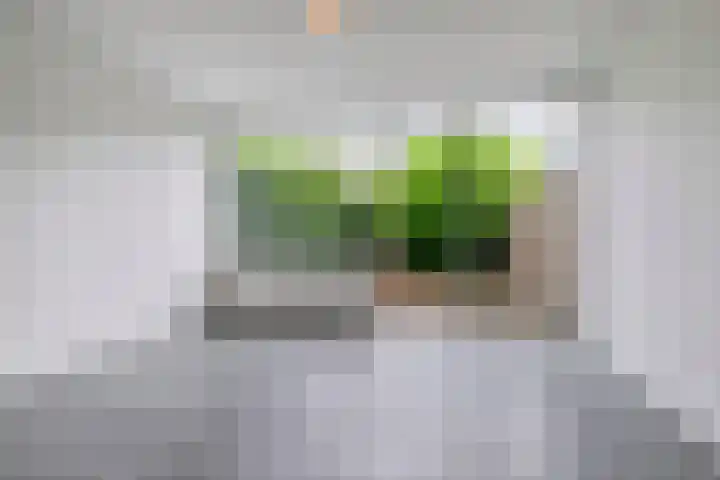 Moggendries 34 Eindhoven thumbnail 14