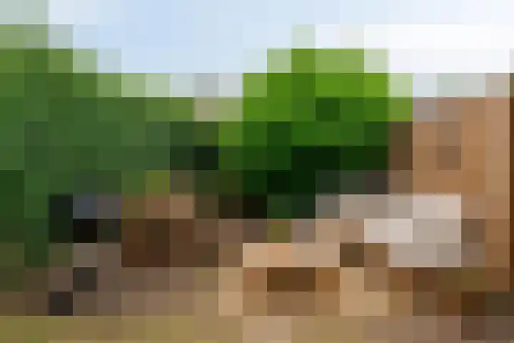 Moggendries 34 Eindhoven thumbnail 23