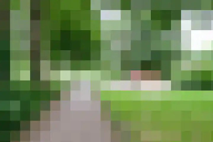 Moggendries 34 Eindhoven thumbnail 29