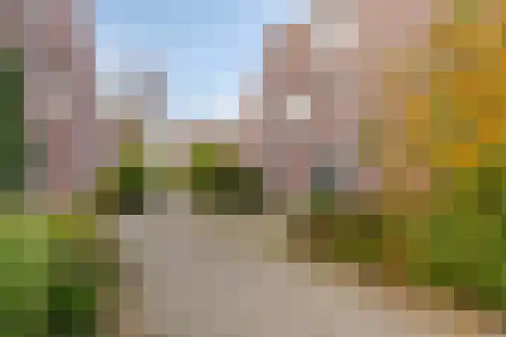 Molbord 16 Hellevoetsluis thumbnail 5
