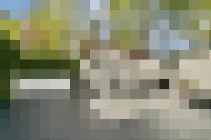 Molbord 22 Hellevoetsluis thumbnail 5