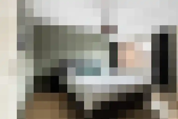 Molecaten 27 Barneveld thumbnail 15