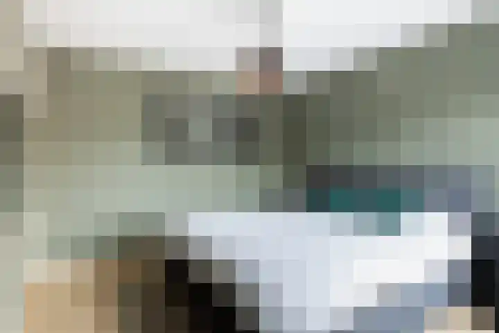 Molecaten 27 Barneveld thumbnail 17