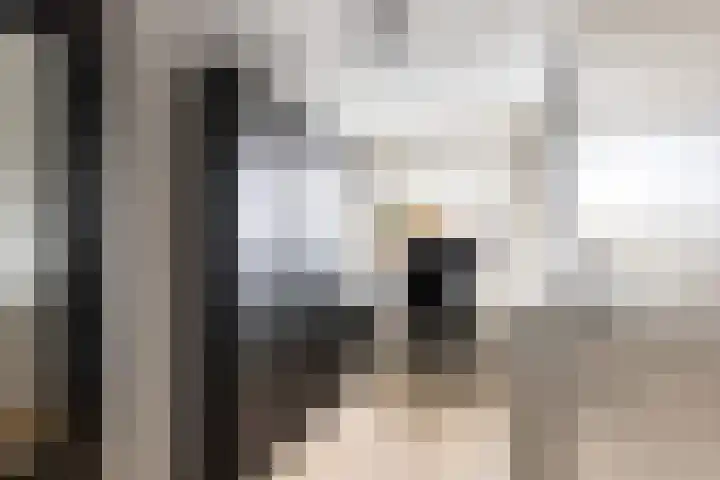 Molecaten 27 Barneveld thumbnail 19