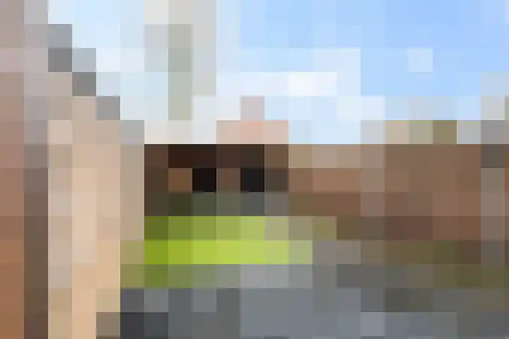 Molecaten 27 Barneveld thumbnail 29
