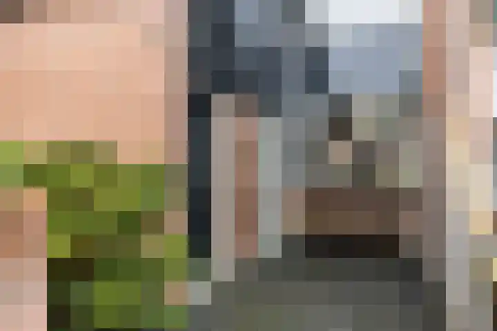 Molecaten 27 Barneveld thumbnail 32