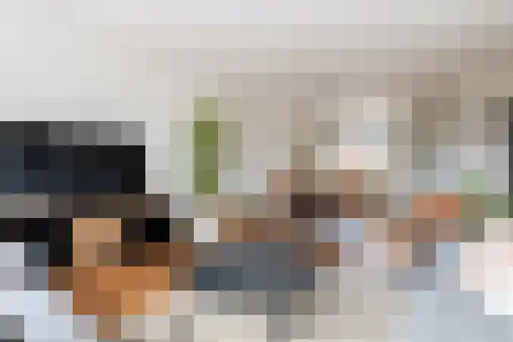 Molecaten 27 Barneveld thumbnail 4