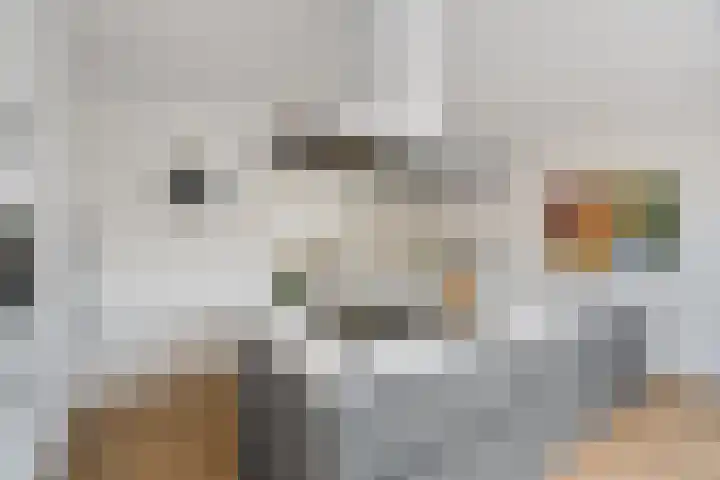 Molecatendreef 15 Helmond thumbnail 14