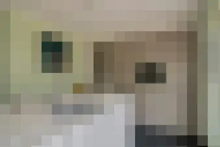 Molecatendreef 15 Helmond thumbnail 15