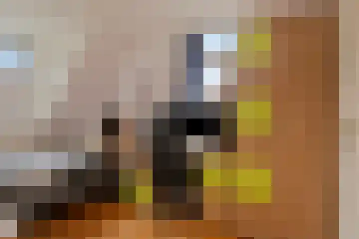 Molecatendreef 15 Helmond thumbnail 23