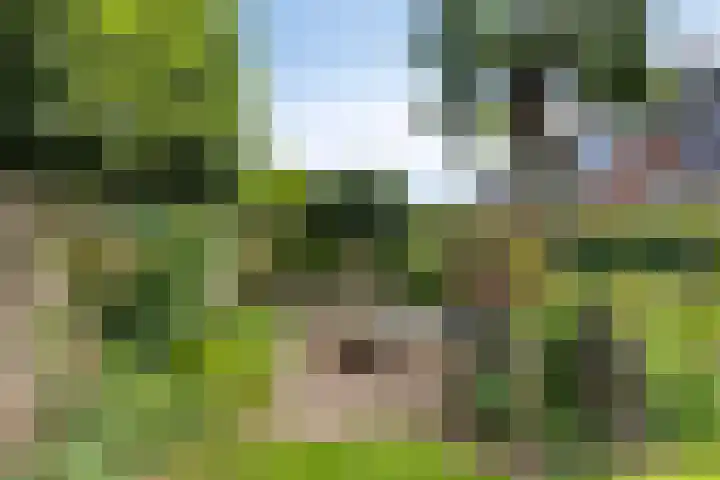 Molecatendreef 15 Helmond thumbnail 31
